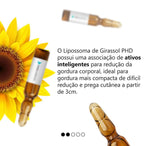 LIPOSSOMAS DE GIRASOL