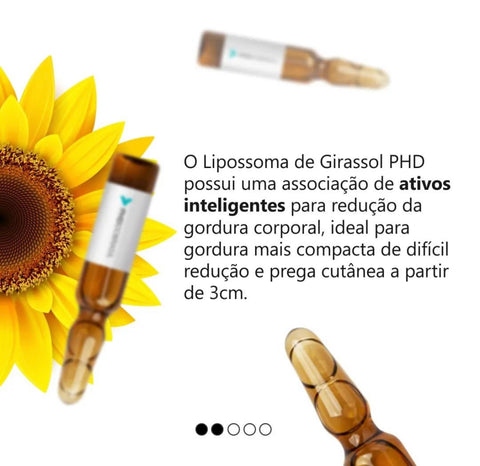 LIPOSSOMAS DE GIRASOL